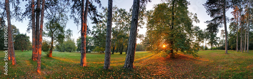 Obraz na płótnie widok park panorama natura trawa