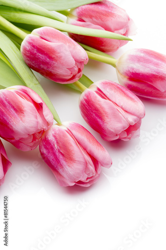 Obraz na płótnie kwiat tulipan roślina bukiet natura