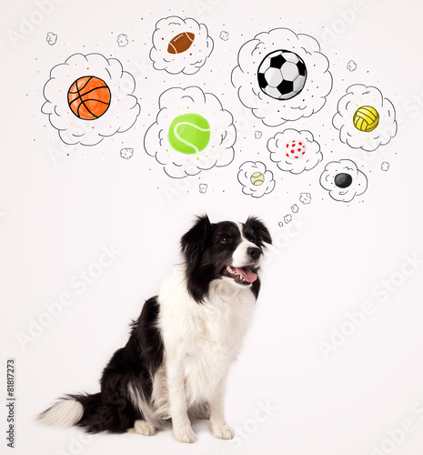 Naklejka Uroczy pies myśli o piłkach