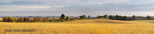 Obraz na płótnie rolnictwo jesień ziarno trawa