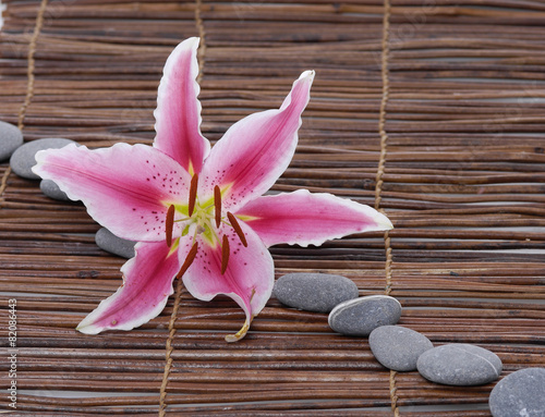 Obraz na płótnie kwiat zen zdrowie azja