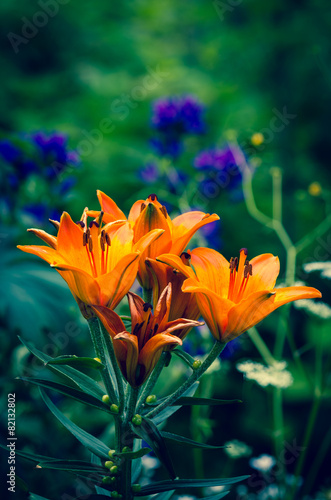 Naklejka orientalne ogród wzór kwiat