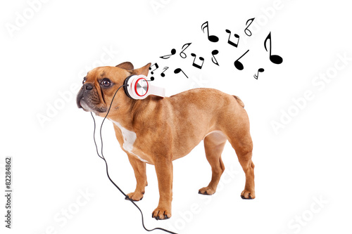 Naklejka Muzyka i pies