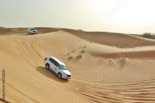 Plakat arabski natura pustynia