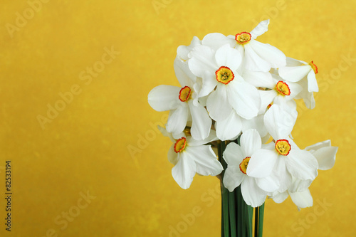 Naklejka bukiet świeży kwiat kwitnący narcyz