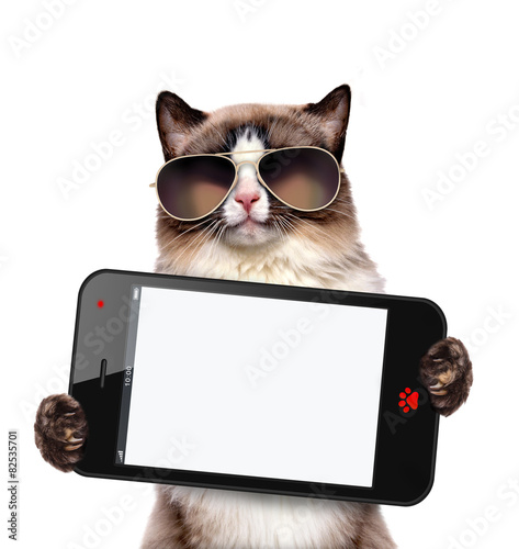 Plakat Kot trzyma smartfona