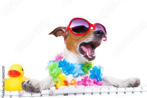 Fototapeta pies zwierzę tropikalny kwiat