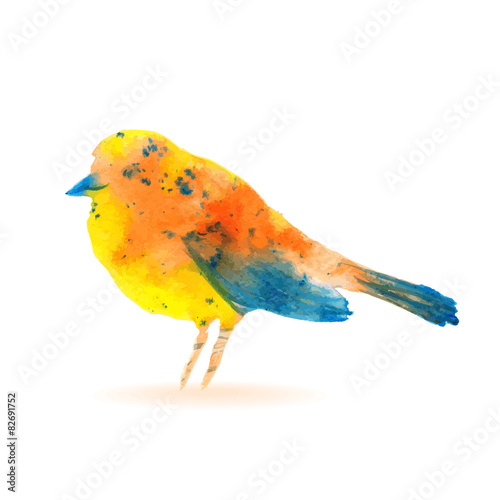 Obraz na płótnie sztuka abstrakcja ptak natura
