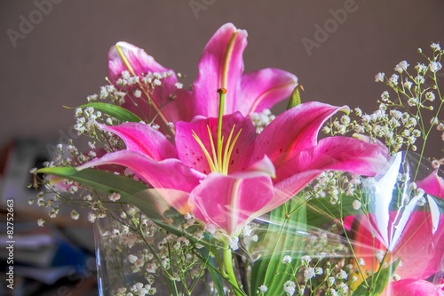 Fotoroleta natura piękny kwiat