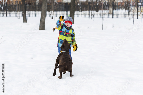 Fotoroleta Chłopiec bawi się z psem na śniegu