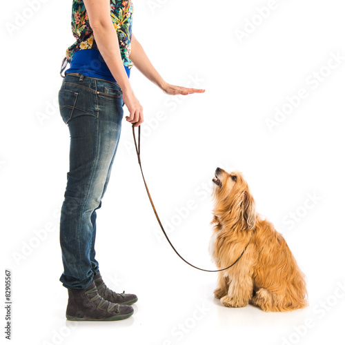 Plakat miłość kobieta świeży pies zwierzę