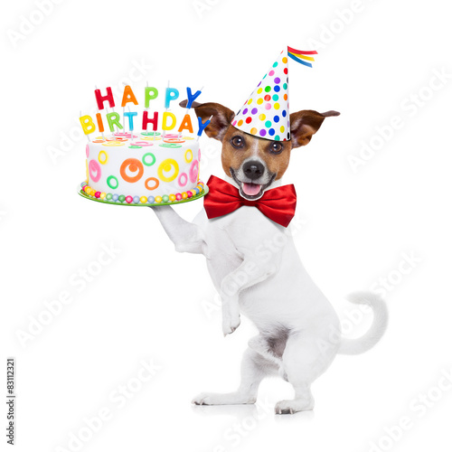 Fotoroleta zabawa świeca balon zwierzę pies