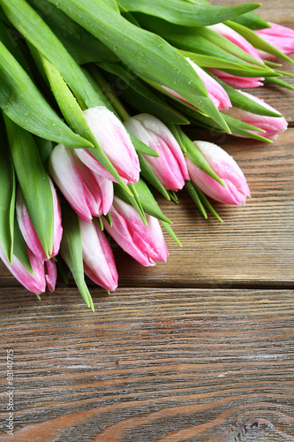 Fotoroleta świeży kwiat natura piękny tulipan