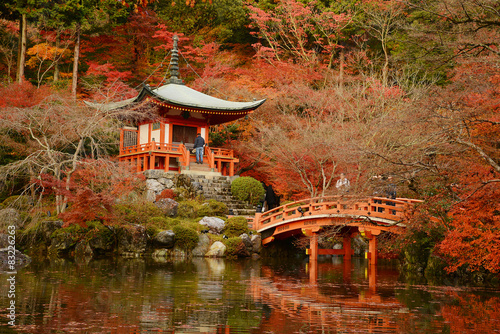 Obraz na płótnie park sanktuarium japonia świątynia
