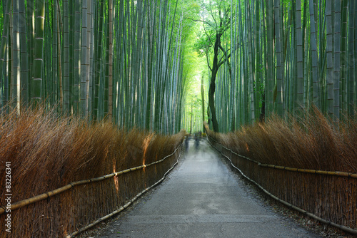 Fotoroleta drzewa zen japoński bambus