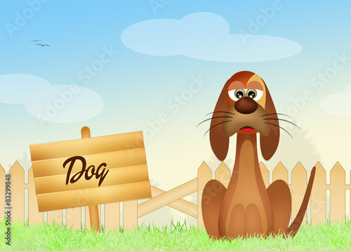 Fotoroleta Pies w trawie i płot, ilustracja