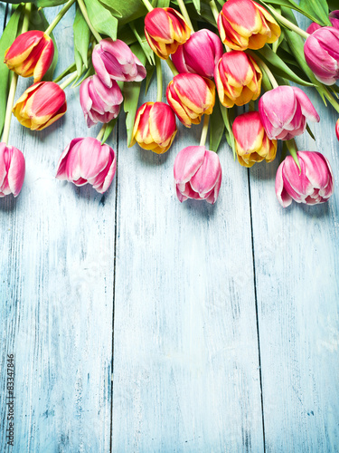 Fotoroleta tulipan retro kwiat vintage