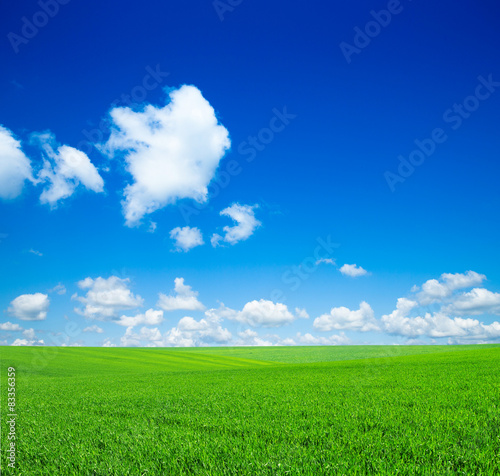 Fototapeta łąka piękny widok trawa