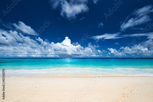 Obraz na płótnie plaża morze tropikalny lato natura