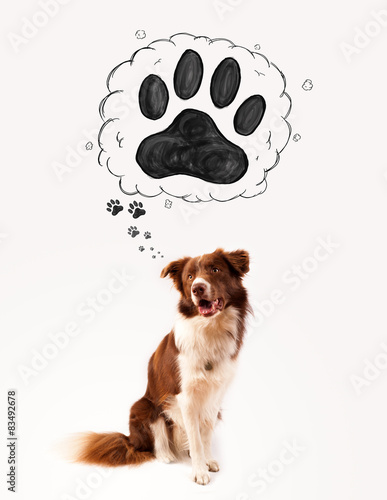 Fotoroleta wzór zwierzę ładny pies brązowy