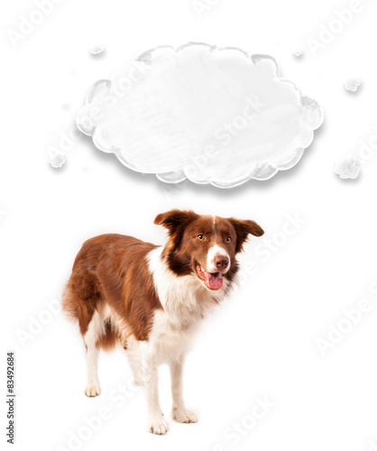 Plakat ładny balon pies