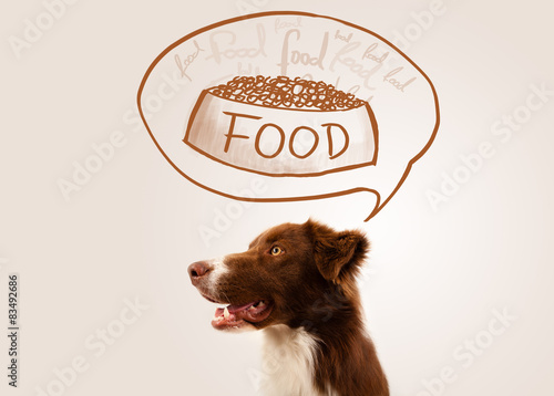 Obraz na płótnie Pies myśli o jedzeniu