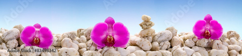 Fotoroleta ziarno masaż kwiat perspektywa morze