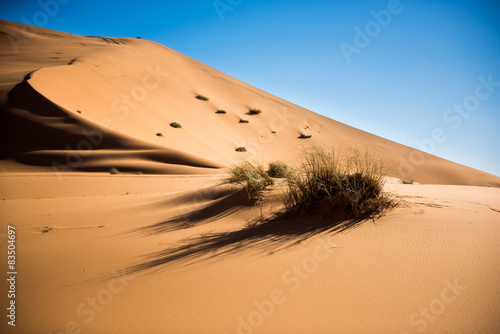 Fototapeta pejzaż afryka pustynia wydma żółty