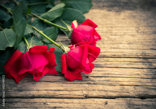 Fototapeta ogród kwiat miłość lato bukiet