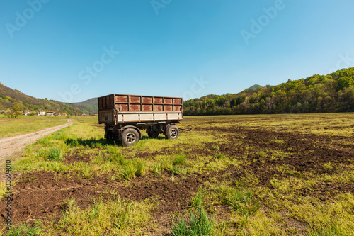Fototapeta las rolnictwo pastwisko pejzaż wieś