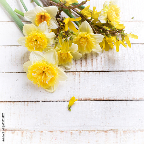 Fototapeta świeży bukiet kwiat narcyz