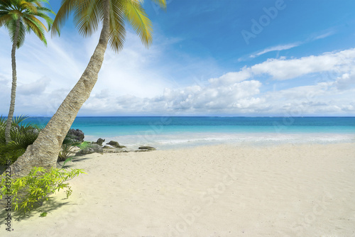 Plakat lato pejzaż wyspa tropikalny słońce