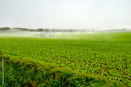 Fotoroleta woda pole rolnictwo
