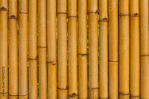 Fotoroleta ogród tajlandia natura bambus trawa