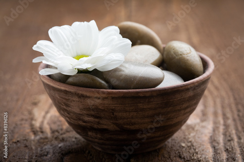 Naklejka wellnes masaż aromaterapia