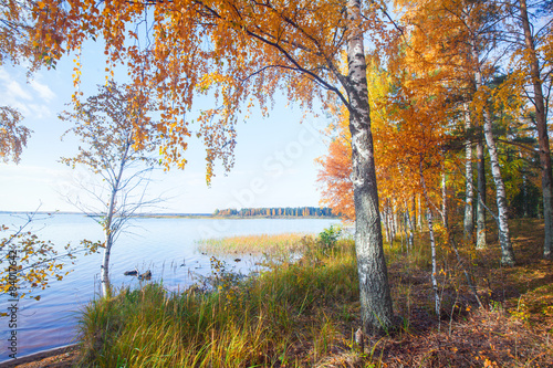 Fototapeta jesień świeży wiejski park las