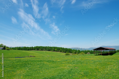 Fototapeta pastwisko trawa krajobraz japonia błękitne niebo
