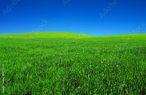 Naklejka trawa pastwisko pole pejzaż krajobraz