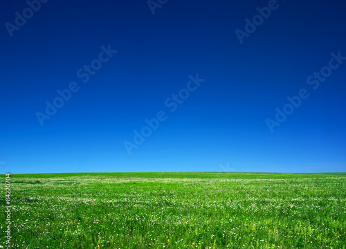 Fotoroleta panoramiczny krajobraz pole pejzaż