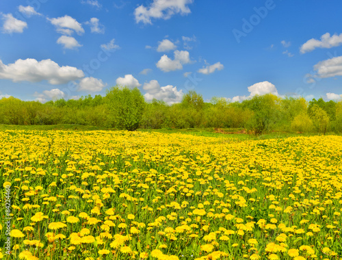 Obraz na płótnie wieś łąka natura pejzaż polana