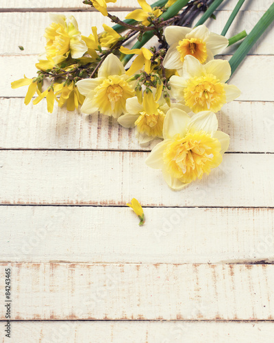 Plakat Background with fresh narcissus