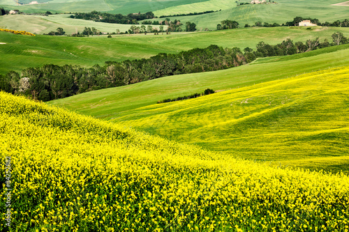 Fototapeta wieś rolnictwo łąka trawa widok