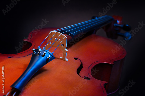 Obraz na płótnie Close view of violoncello in vertical position