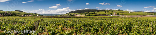 Fototapeta krajobraz natura winorośl wybrzeże