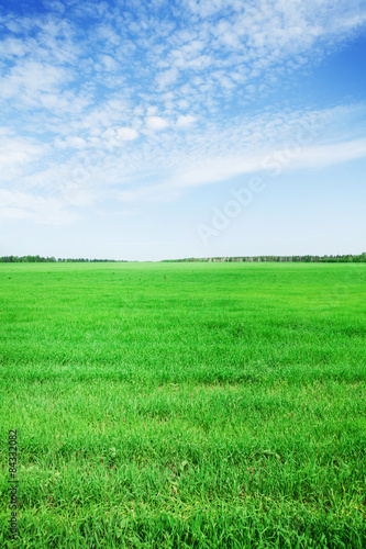 Obraz na płótnie pole piękny rolnictwo wieś pastwisko