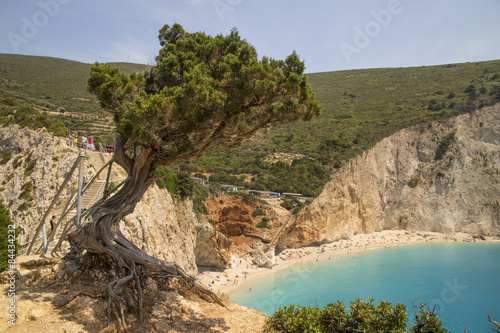 Fototapeta drzewa wybrzeże europa