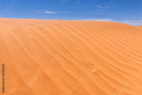 Fototapeta egipt słońce pustynia