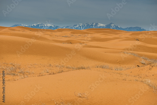 Plakat natura pustynia ameryka