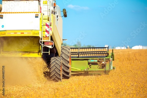 Fototapeta jesień pszenica łąka mąka maszyny