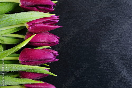 Fototapeta piękny tulipan bukiet